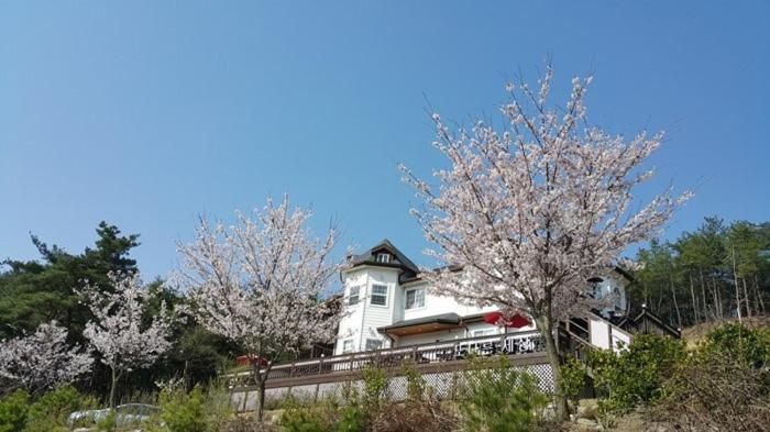 Another World Pension Gyeongju Exterior photo